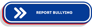 Online Bully Report